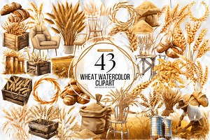 Watercolor Wheat Clipart Bundle | Wheat Digital Images | Wheat Graphics | Wheat PNG | Digital Download | Farm Clipart | Wheat Field PNG - Etsy