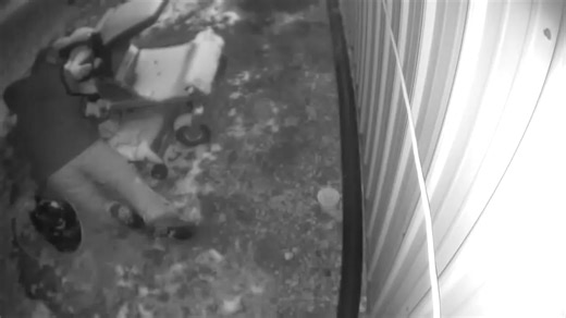 Steve Rieser on Reels