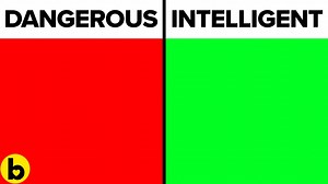 What Your Favorite Color Says About You 🎨 #Bestie #BestieVideos #color #personality #favorite #favoritecolor #blue #green #yellow #black #pink #purple #personalitytest #colors #personalityquiz #personalitytypes #personalitytestquestions #testyourpersonality #personalitytraits #character #yourpersonality #personalitytestpsychology #yourpersonalityandyourbrain #personalitytype #factsaboutpeople | Bestie