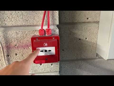 System Test 2 - Advanced MxPro4