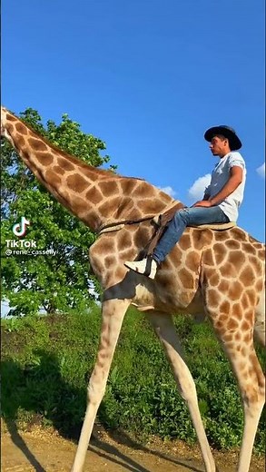 RIDING A WILD GIRAFFE 🦒✨️ (Originally Made By Rene Casselly) 🤠✨️ *NOT FOR MONETARY GAIN*