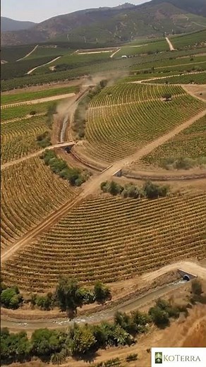 Cómo funciona una Plantación con Diseño Keyline