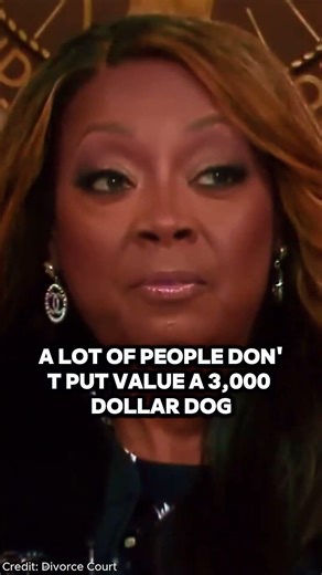 “Judge destroys husband over missing dog 🐶”