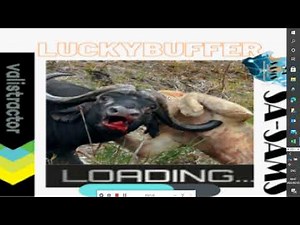 SA-SAMS How to give user system rights