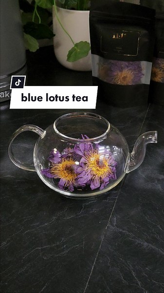 Blue Lotus Tea: Aphrodisiac & Relaxation
