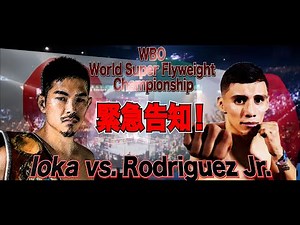 緊急告知！井岡一翔vsフランシスコ・ロドリゲスJr.