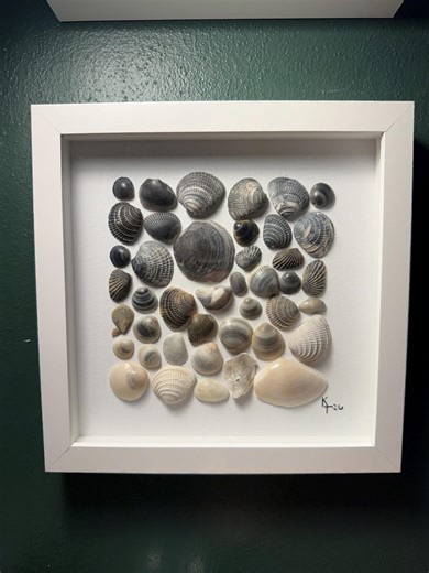 Black to White Gradient Shell Art - Framed. 8x8 Inches - Etsy