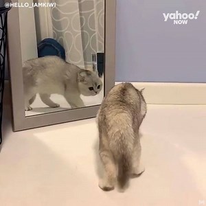 37K views · 344 reactions | Are you talking to me ? You must be talking to me 藍 | In The Know Now | Facebook