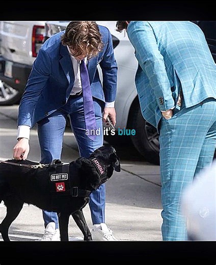 Hockey Playoffs: Celebrating Team Spirit and Togetherness