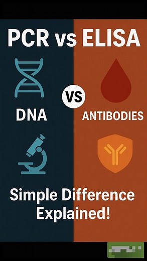PCR vs ELISA – Simple Difference Explained!