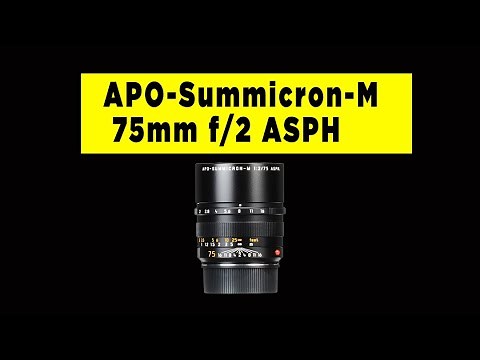 Leica APO-Summicron-M 75mm f/2 ASPH Review - Photography PX