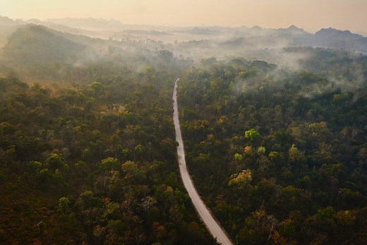 Call to Action — Business For Nature