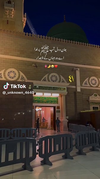 اے دو جہاں کے تاجدار صلی اللّٰہ علیہ وآلہ وسلّم ❤️ | نعتیہ کلام