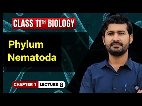 Phylum Nematoda: The World of Roundworms | Class 11/FSc Biology