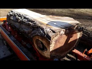 Black Walnut Slabs on the LT35 Wood Mizer