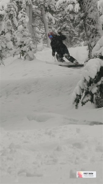 15 reactions | Don't pass up these passholder perks, including new...