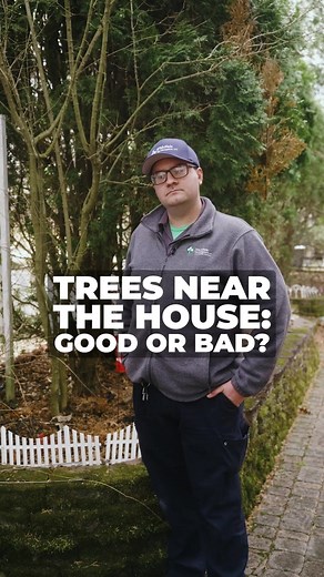 JP McHale Pest Management on TikTok