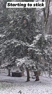 9.3K views · 235 reactions | Turning white as slushy snow sticks. #snow #wintertime | Andy Parker | Facebook