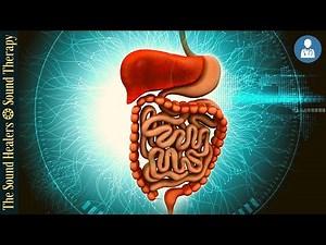 STOMACH COLON & DIGESTION I Sound Therapy + RIFE Frequencies I Exploring Energy Frequencies