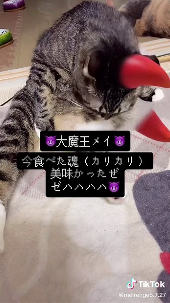 天使と悪魔の会話👿👼#天使と悪魔 #動物コレクション