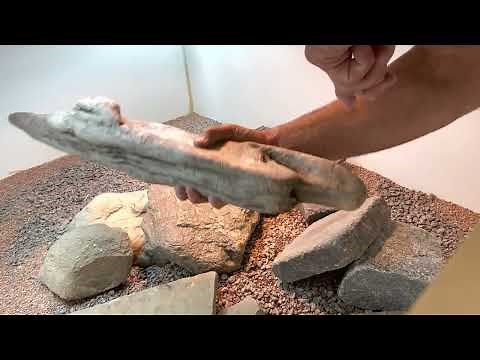 Setting Up the Enclosure for Uromastyx