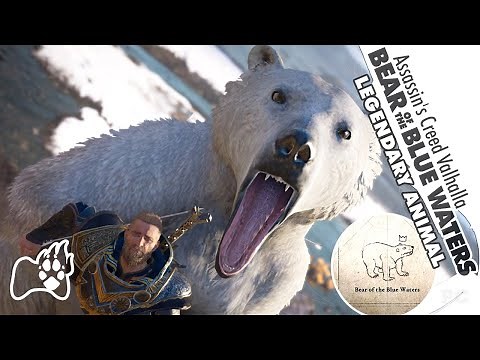 Assassin's Creed Valhalla BEAR of the BLUE WATERS Location Legendary Animal Polar Bear Boss Fight