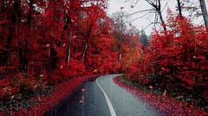 Thunder, Lightning, Storm