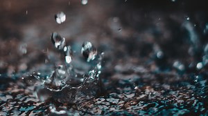 Water Damage & Flood Insurance in Ontario | Mitch Insurance Brokers