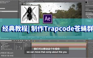 经典教程| 制作Trapcode苍蝇群
