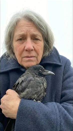 I’ve had this #crow for a long time. He’s not feeling well, and I won’t leave his side.