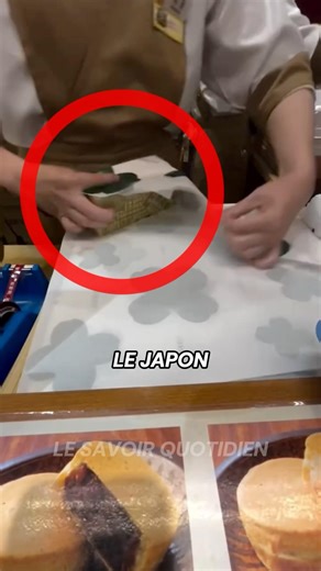 The INSANE Japanese paper wrapping technique!