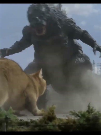 Cat Vs. Godzilla