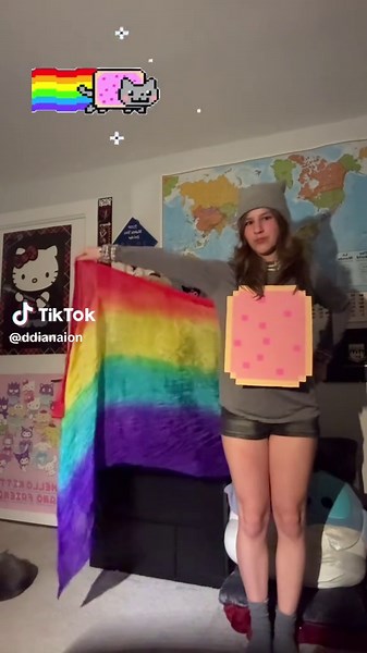 Matching Nyan Cat Halloween Costume Ideas