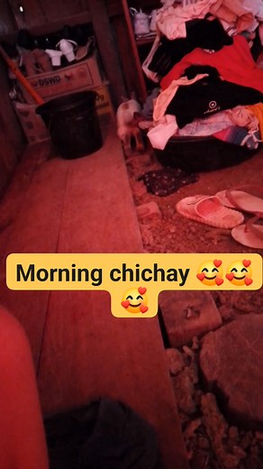 #petlovers #rabbit | Juan Dod'z Redondo Salilin