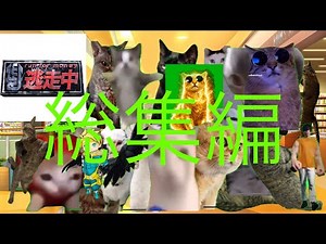 （猫ミーム）逃走中 総集編