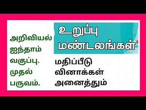 அறிவியல் ஐந்தாம் வகுப்பு முதல் பருவம்-உறுப்பு மண்டலங்கள்-மதிப்பீடு.5 th Std - Organ Systems-Q&A✍️