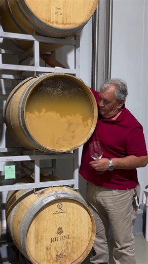 Wine Institute Chile on Instagram: "El battonage (del francés bâtonnage o bastoneo) es una técnica enológica que consiste en remover las lías —levaduras muertas y sedimentos finos— del fondo de la barrica para ponerlas en suspensión en el vino blanco. Esta práctica, comúnmente usada en variedades como Chardonnay, aporta mayor cremosidad, untuosidad, complejidad aromática y estabilidad al vino, protegiéndolo de la oxidación. Aspectos clave del Battonage en vino blanco: ✅ ¿En qué consiste?: Se int