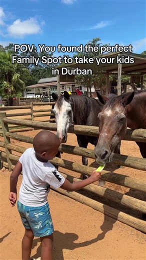 Divertido en Animal Farm, Ballito