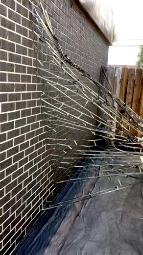 Stayntech brick stains provide a permanent finish that will never bubble, chip or peel. Visit shop.brickimaging.com for purchase information. | Brickimaging