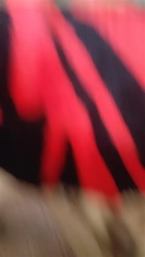 Videoclipuri postate de România vesu Ucraina (@eu_roblox_ssd_bby006) cu оригинальный звук - вилсон 😎 - aypiks