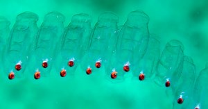 Sea-creature-inspired linked robots could explore alien oceans