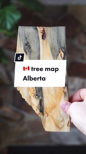 Exploring Alberta's Lodgepole Pine: A Provincial Tree