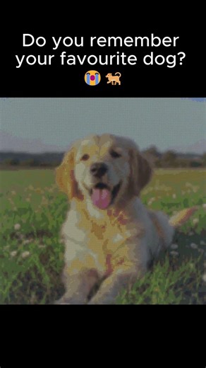 #minecraft #dog #pixelart