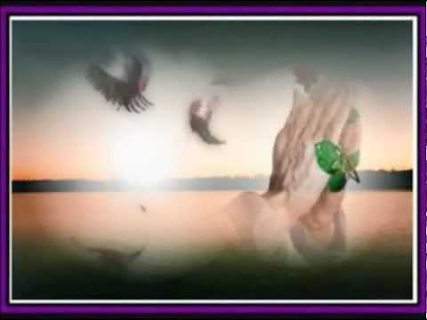 Florent Pagny - Et un jour une femme (Lyrics)