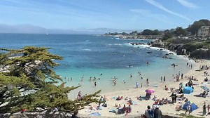 What's Up Monterey on Reels