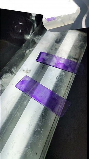 DLC - WBC counting... #mbbs #physiology #hematology #wbc