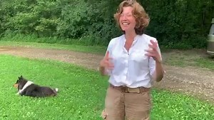 #8 - We were letters?!?!?! #TheStoryOfTheFarm | Amy Grant