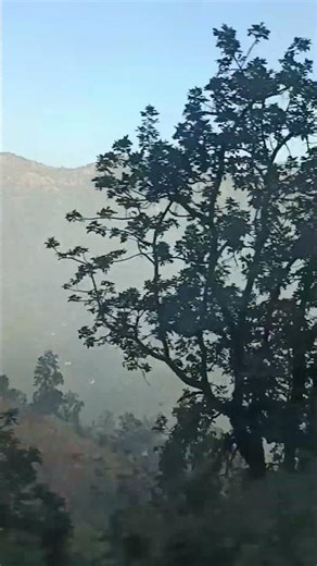 pahaad view in mukteswar himalya parvat #himalayas