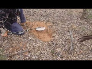 Tiny bit with the GPX 6000, and my thoughts on the Goldmonster 2000 ..