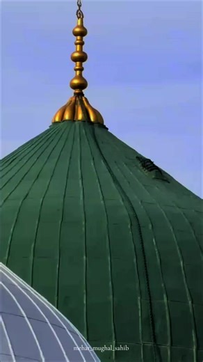 Praying for Allah's Mercy in Madina